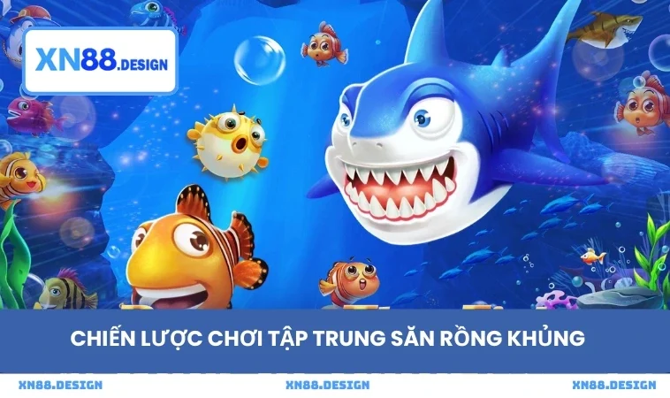 Chiến lược chơi tập trung săn rồng khủng