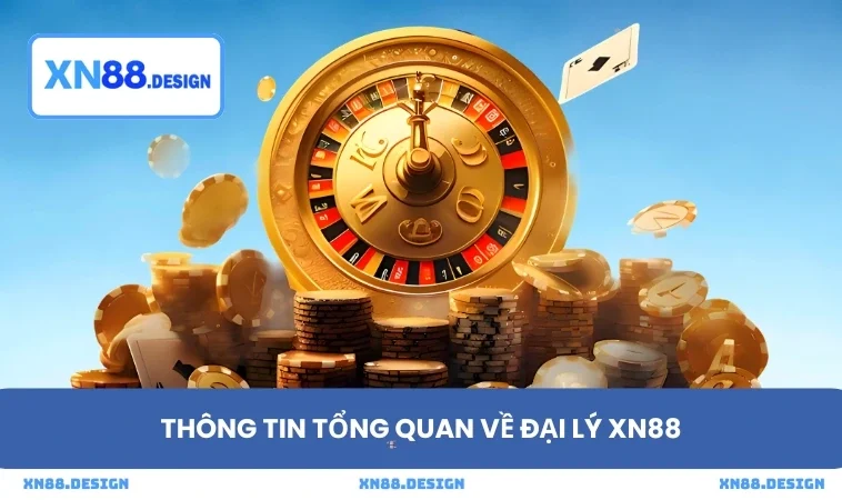 Thông tin tổng quan về đại lý XN88